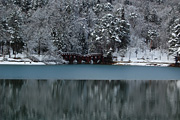 大平森林公園（2008冬）1