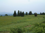 山本山高原牧場（2006）