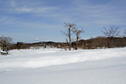 平 - 雪景色 2